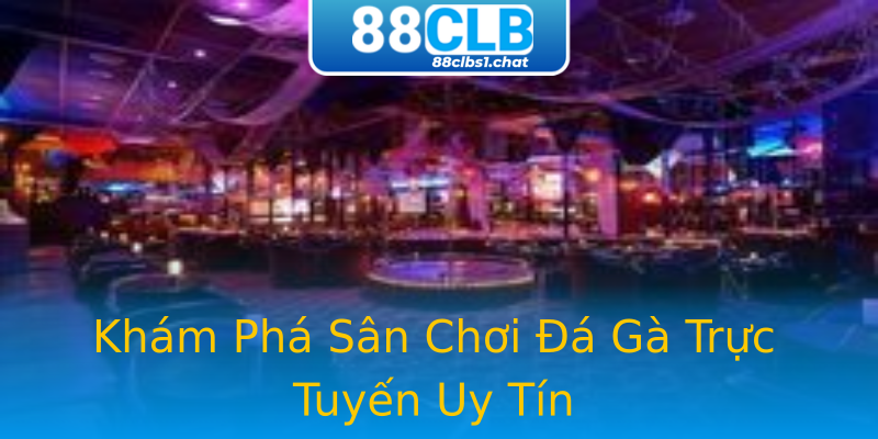 Khám Phá Sân Chơi Đá Gà Trực Tuyến Uy Tín