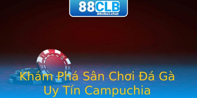Khám Phá Sân Chơi Đá Gà Uy Tín Campuchia Khám Phá Sân Chơi Đá Gà Uy Tín Campuchia