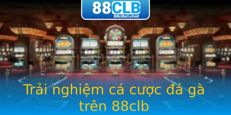 Trải nghiệm cá cược đá gà trên 88clb